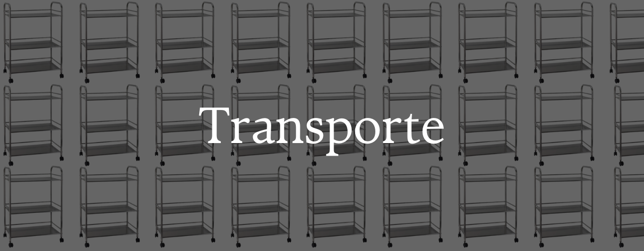 Transporte